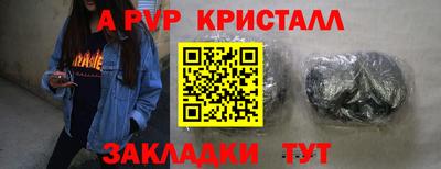 a pvp Новозыбков