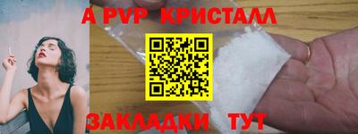 a pvp Новозыбков