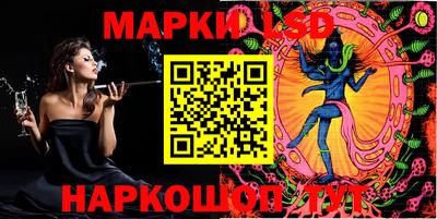 a pvp Новозыбков