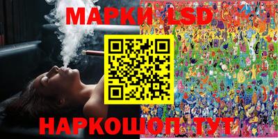 a pvp Новозыбков