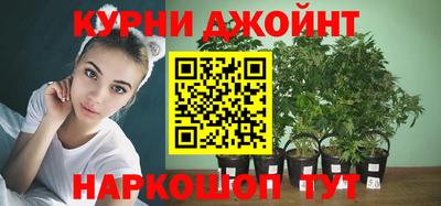 a pvp Новозыбков