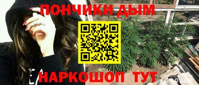 стафф Новодвинск