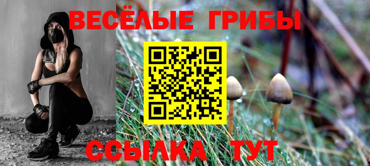 где купить наркотик  Галлюциногенные грибы прущие грибы  Вход с VPN  Уварово 