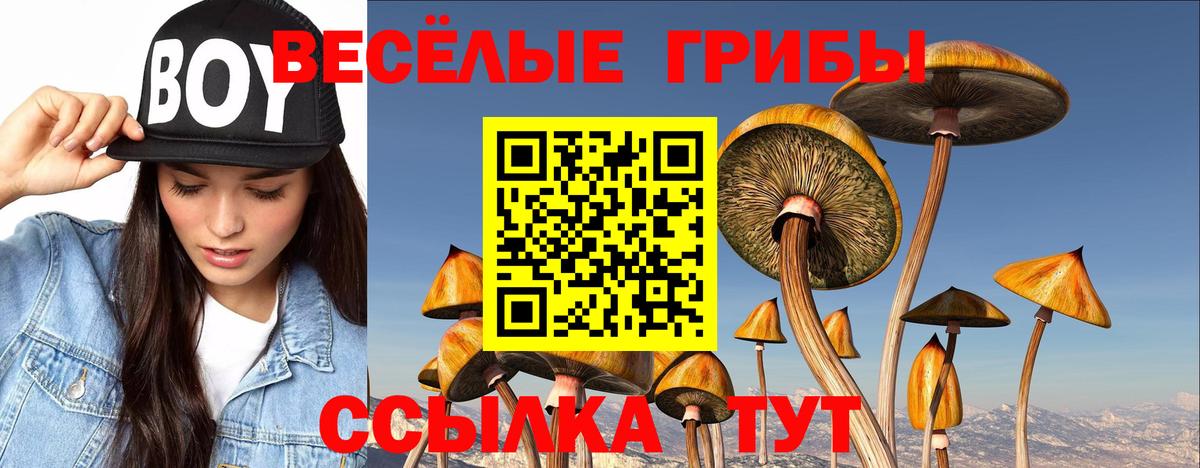 Псилоцибиновые грибы GOLDEN TEACHER Уварово